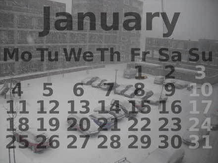 Sneeuw 2010 januari