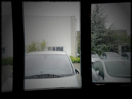 zomer 2011